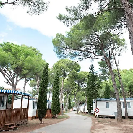 Campsite Albatross Mobile Homes On Camping Lacus *